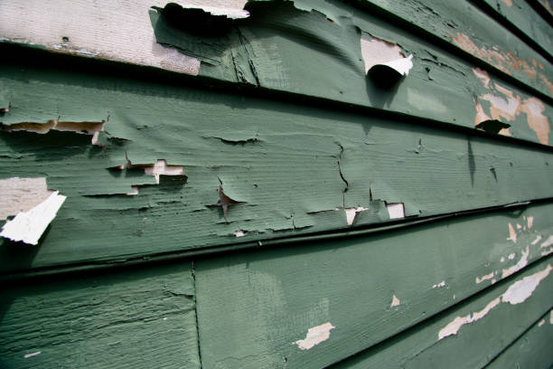  Fowler, CO Junk Removal Pros